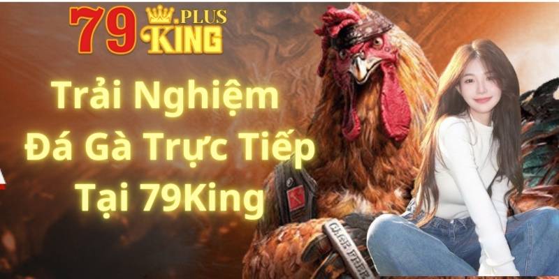 Trải Nghiệm Đá Gà 79King Trực Tiếp