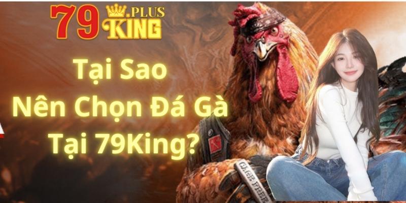 Tại Sao Nên Chọn Đá Gà Tại 79King?